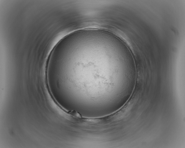 X0000111861483200907231441