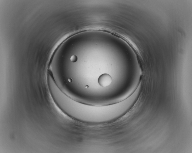 X0000111861484200907231441