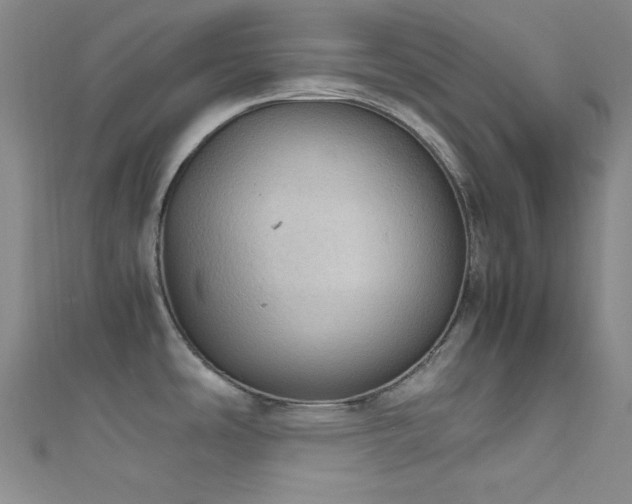 X0000111861486200907231441