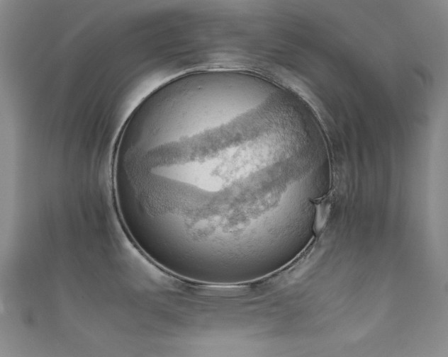 X0000111861487200907231441