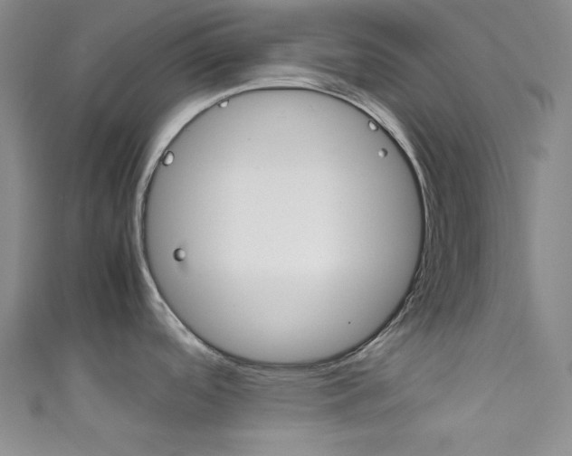X0000111861488200907231441