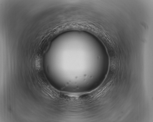 X0000111861490200907231441