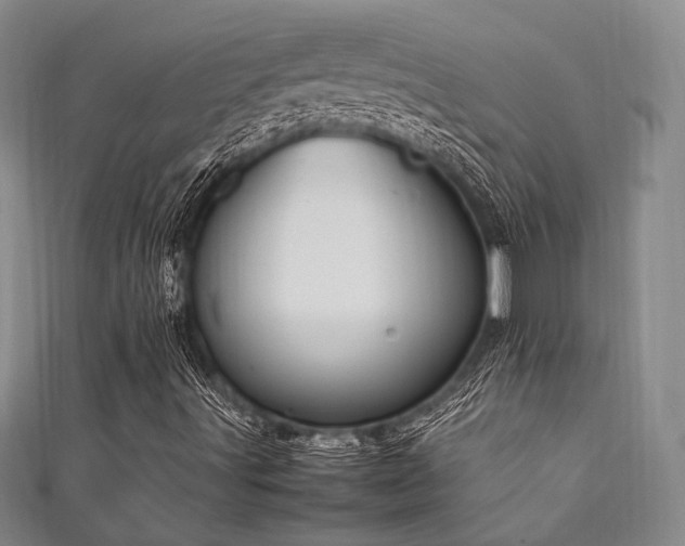 X0000111861491200907231441