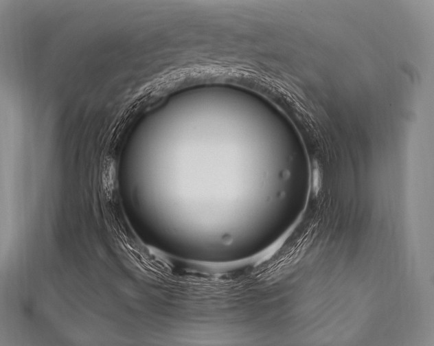X0000111861492200907231441