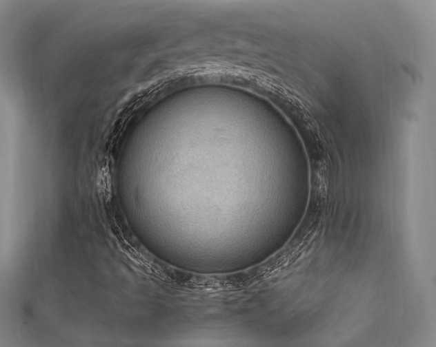 X0000111861493200907231441