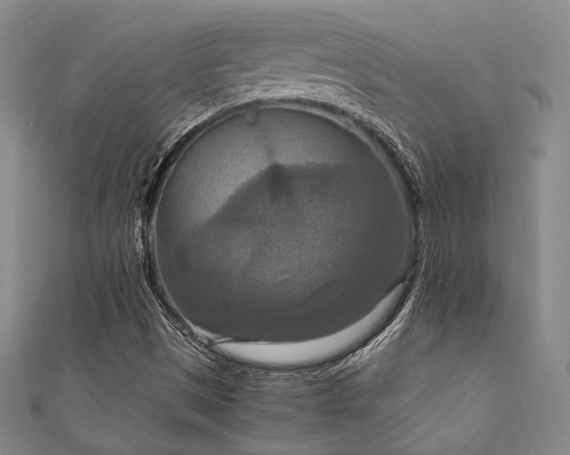 X0000111861497200907231441