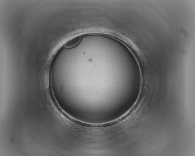 X0000111861504200907231441