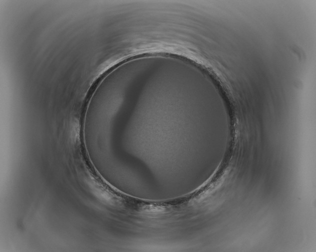 X0000111861505200907231441