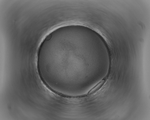 X0000111861508200907231441