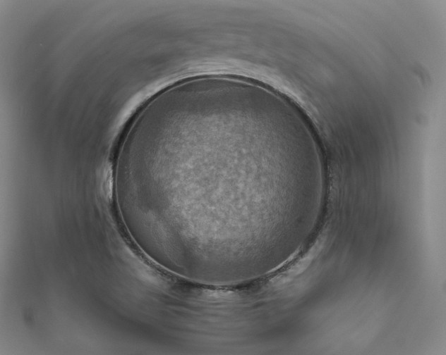 X0000111861509200907231441