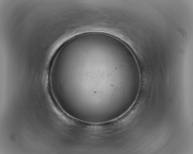 X0000111861511200907231441