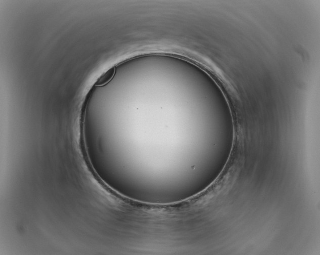 X0000111861512200907231441