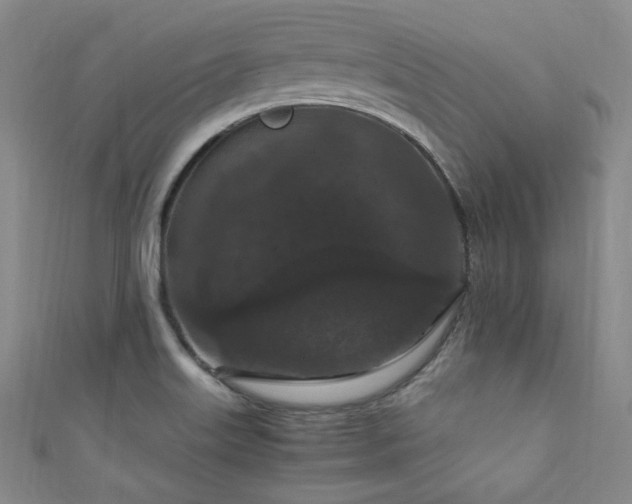 X0000111861515200907231441