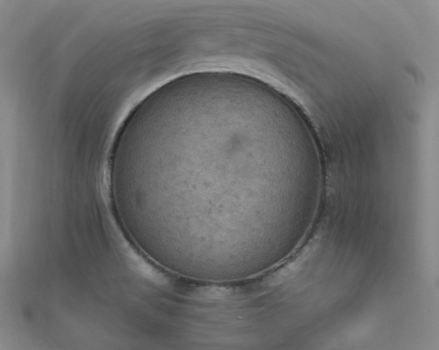 X0000111861517200907231441