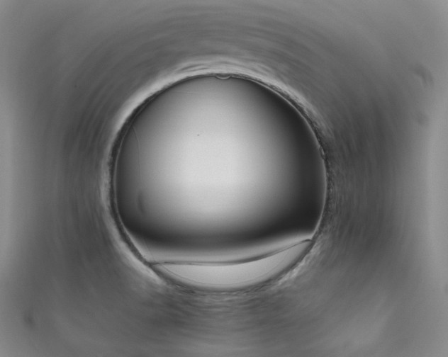 X0000111861518200907231441