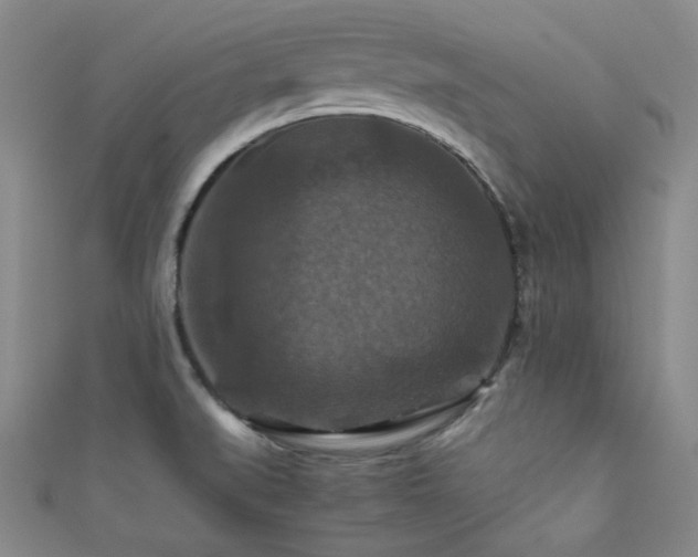 X0000111861519200907231441