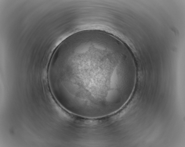 X0000111861521200907231441