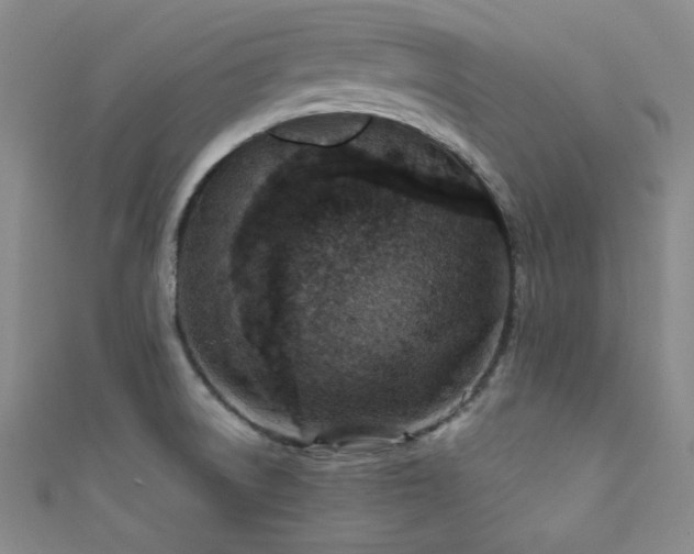 X0000111861522200907231441