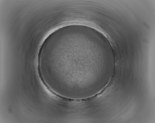 X0000111861523200907231441