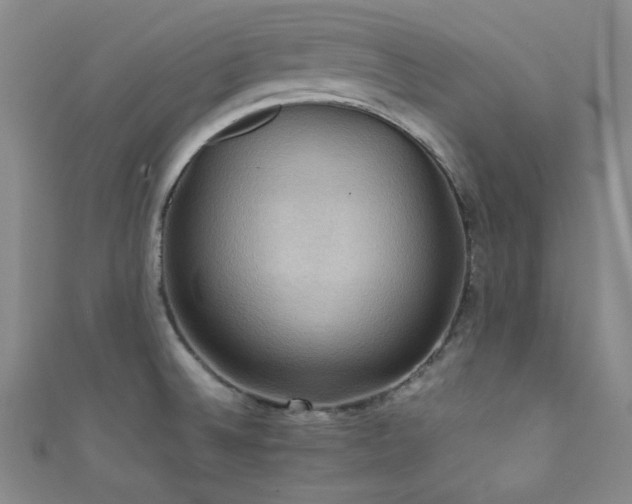 X0000111861524200907231441
