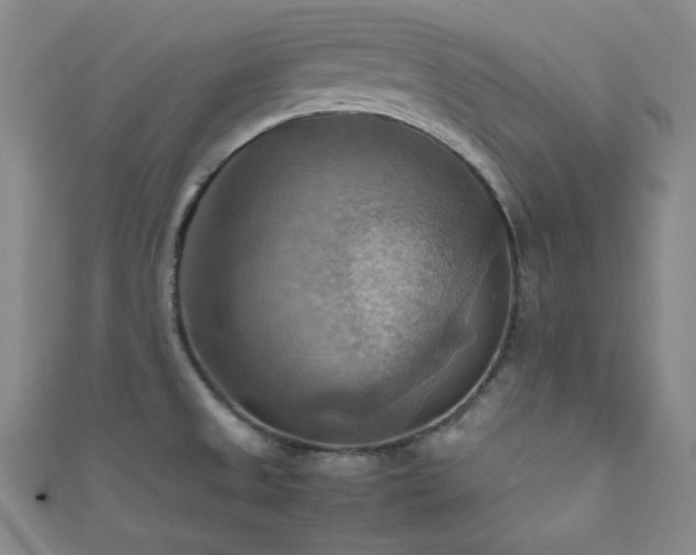 X0000111861525200907231441