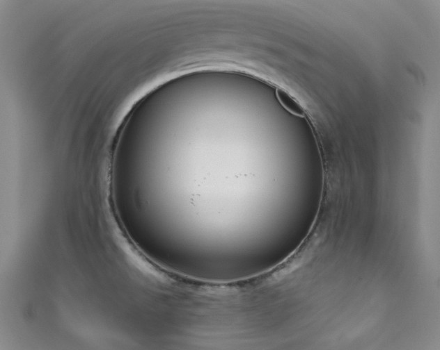 X0000111861526200907231441