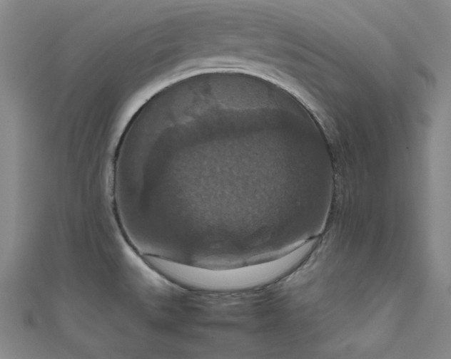 X0000111861527200907231441