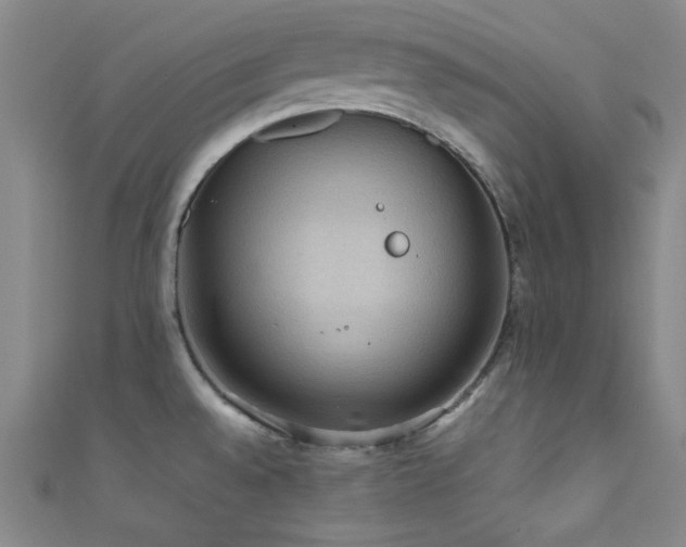X0000111861528200907231441