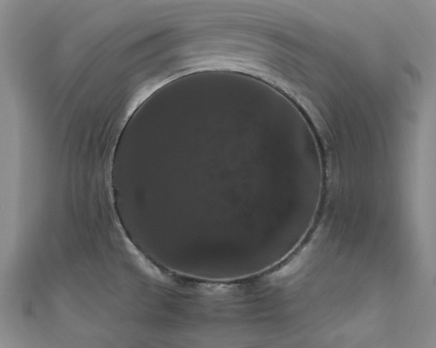 X0000111861529200907231441