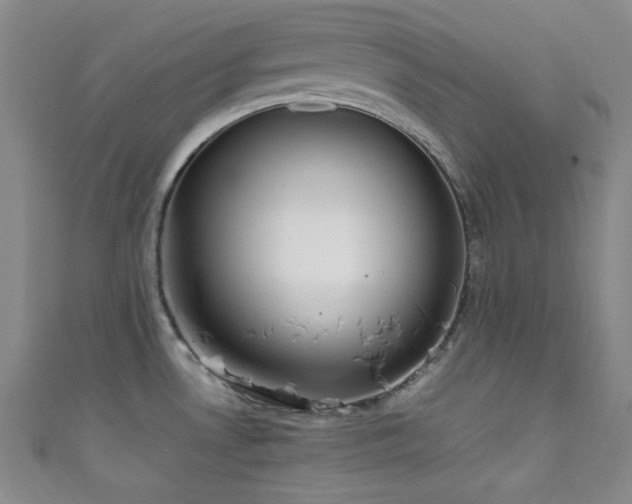 X0000111861530200907231441