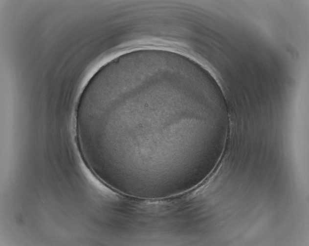 X0000111861531200907231441