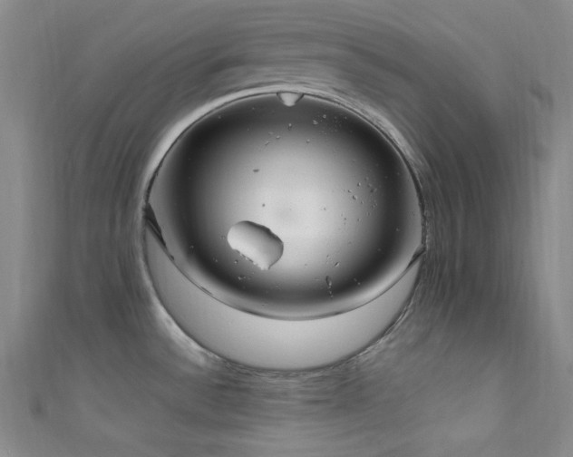 X0000111861532200907231441