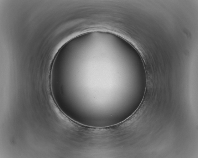 X0000111861534200907231441