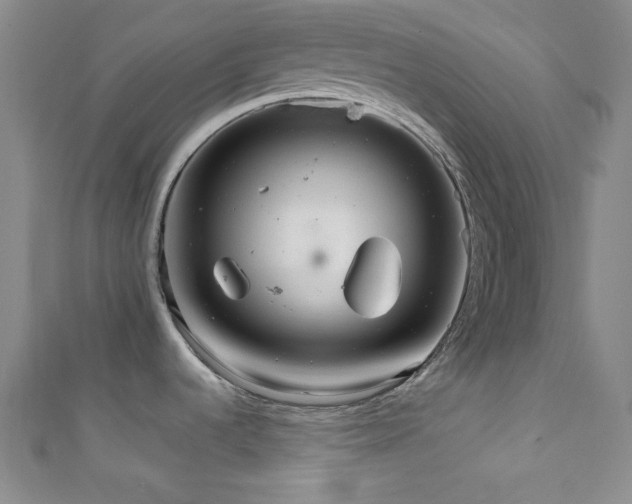 X0000111861536200907231441