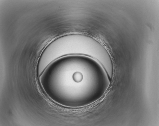 X0000111860001200907301141