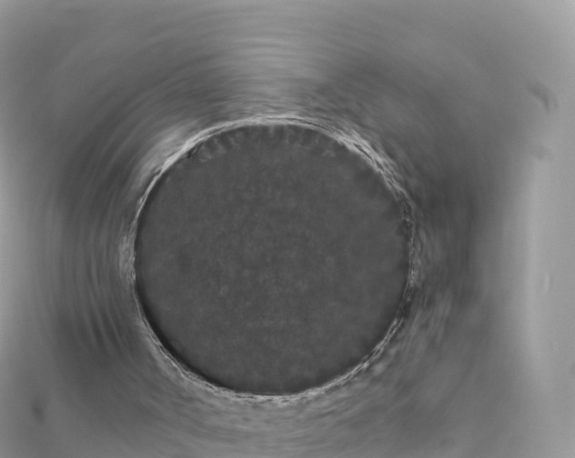 X0000111860002200907301141