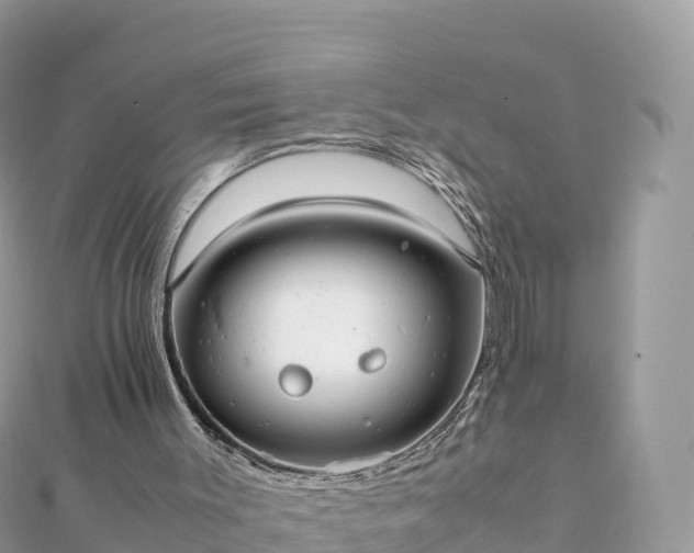 X0000111860003200907301141