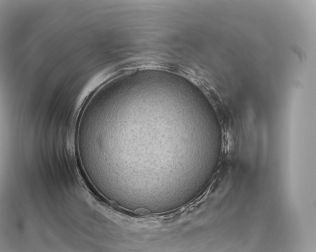 X0000111860004200907301141