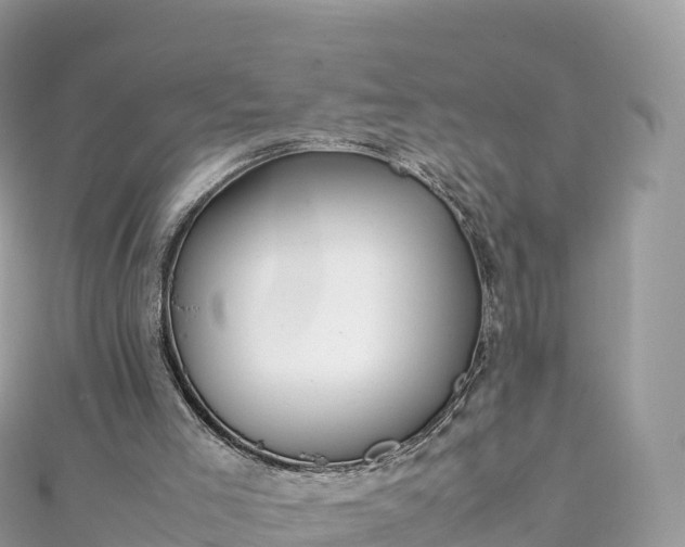 X0000111860005200907301141