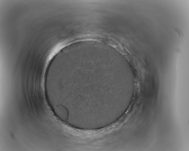 X0000111860006200907301141