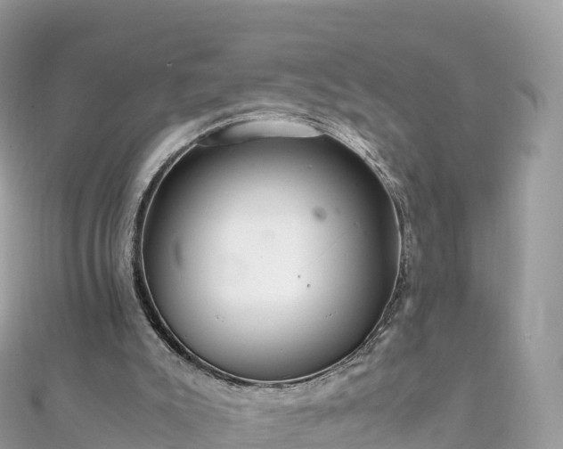 X0000111860007200907301141