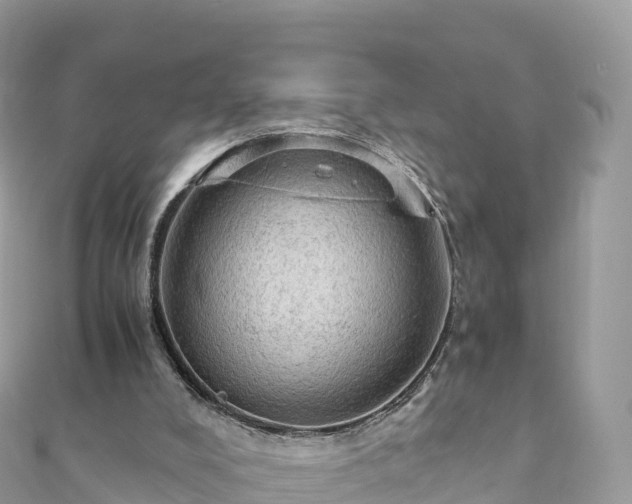 X0000111860008200907301141