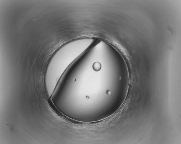 X0000111860009200907301141