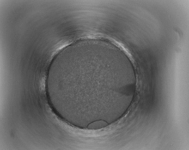 X0000111860010200907301141