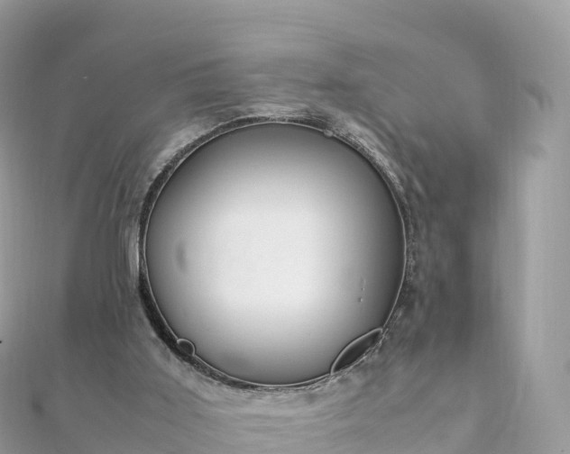 X0000111860011200907301141