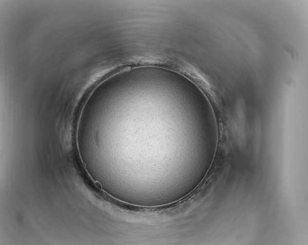 X0000111860012200907301141