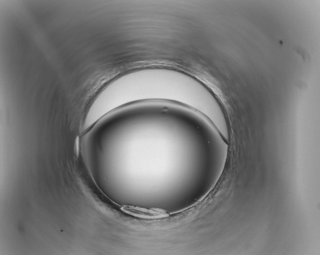 X0000111860013200907301141