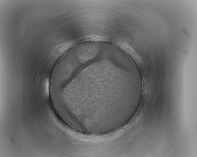 X0000111860014200907301141