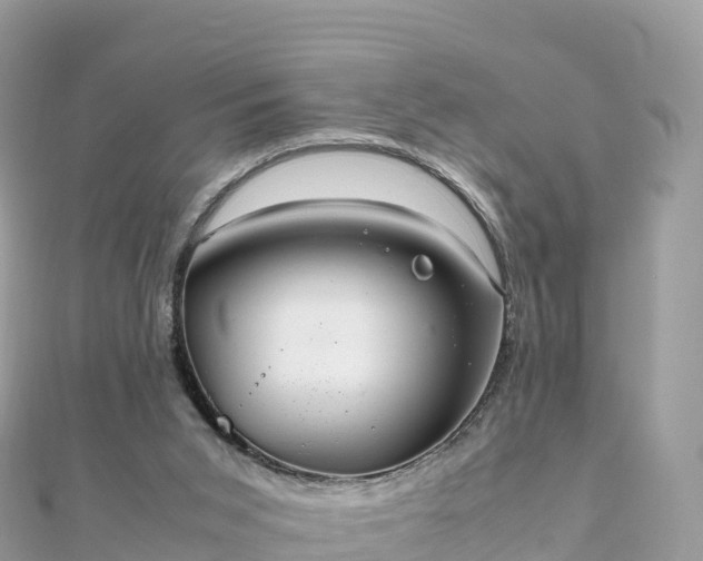 X0000111860015200907301141