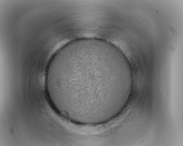 X0000111860016200907301141